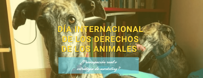 Día Internacional de los Derechos de los Animales_Adriana Tejada Social Media