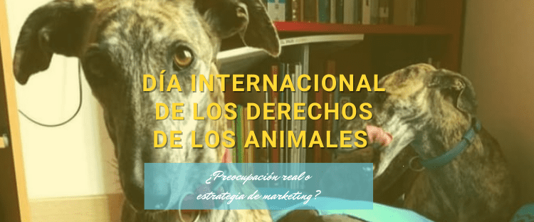 Día Internacional de los Derechos de los Animales_Adriana Tejada Social Media