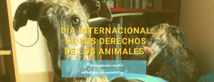 Día Internacional de los Derechos de los Animales_Adriana Tejada Social Media